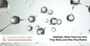3D representation of peptide molecules under a microscope