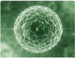 Cellular Research
