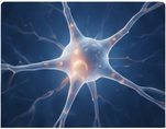 Neuroactive Research